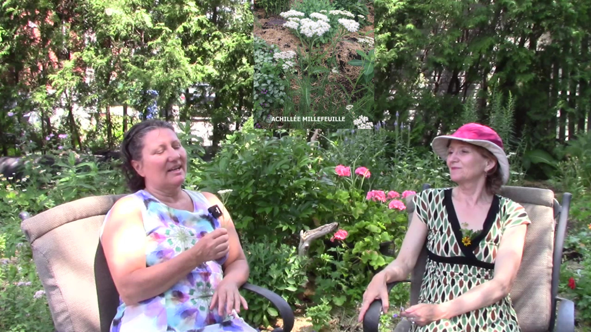 Causerie au jardin Partie 3 (fin) avec Anny Schneider